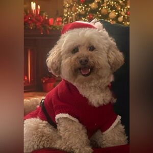 Santa Clause Dog Sweater - Size Large (15.5 inches long)